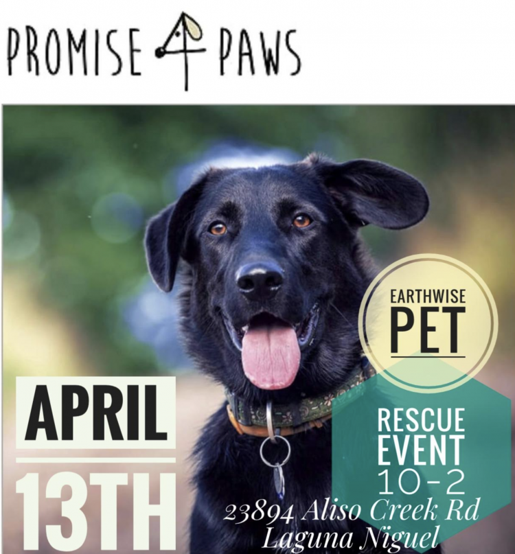 Earthwise adoption event Saturday April 13th – 10-2