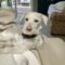 SAWYER