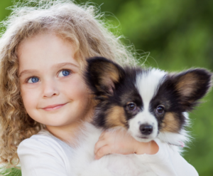 Screenshot-2024-11-15-at-09.10.04-300x247